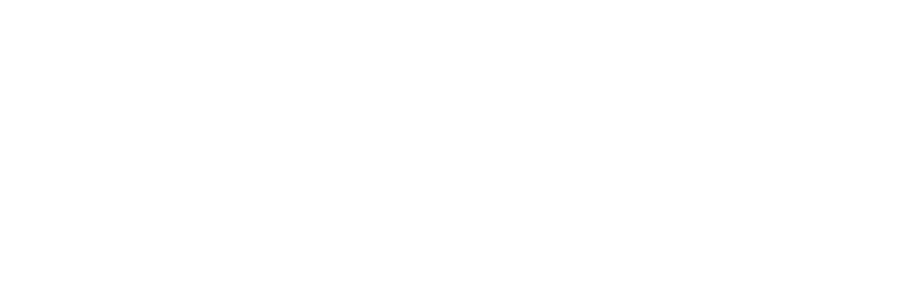 Chiropractic Arlington Heights IL Forza Chiropractic White Logo